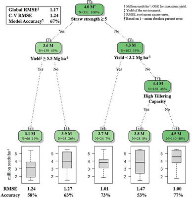 A Decision Support System to Guide Grower Selection of Optimal Seeding Rates of Wheat Cultivars in Diverse Environments